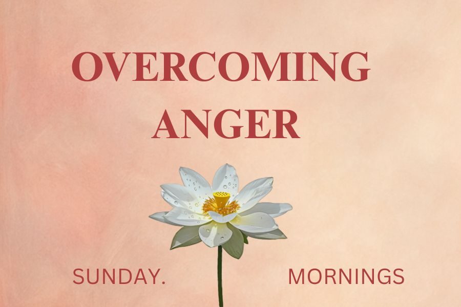 Website 30 min meditation